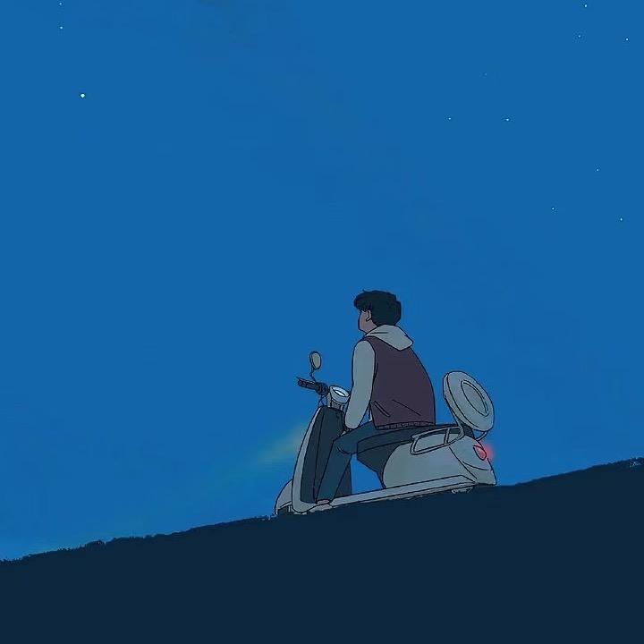 顽皮宝贝宠物用品