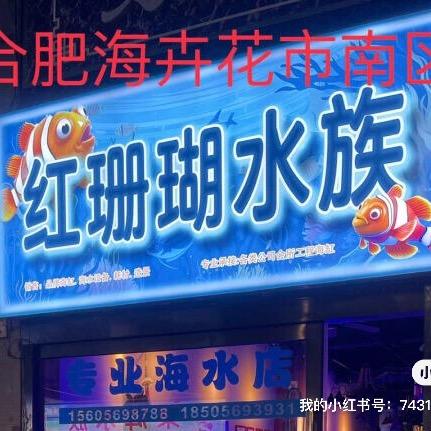 合肥红珊瑚海缸水族店