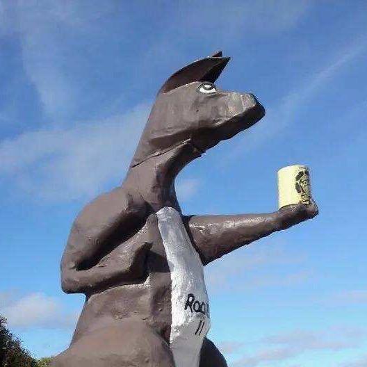 Kangaroo拿个杯