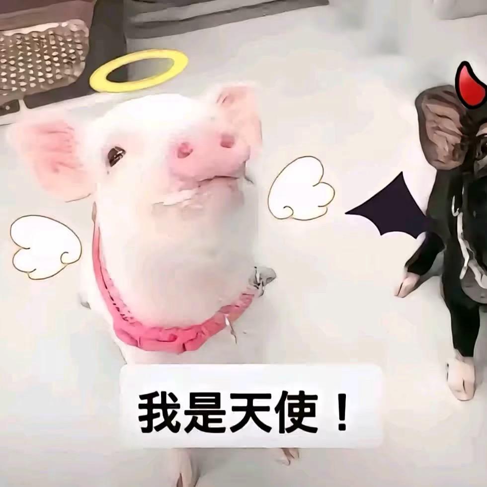 雷霆名字