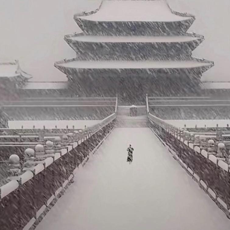 随风🌧