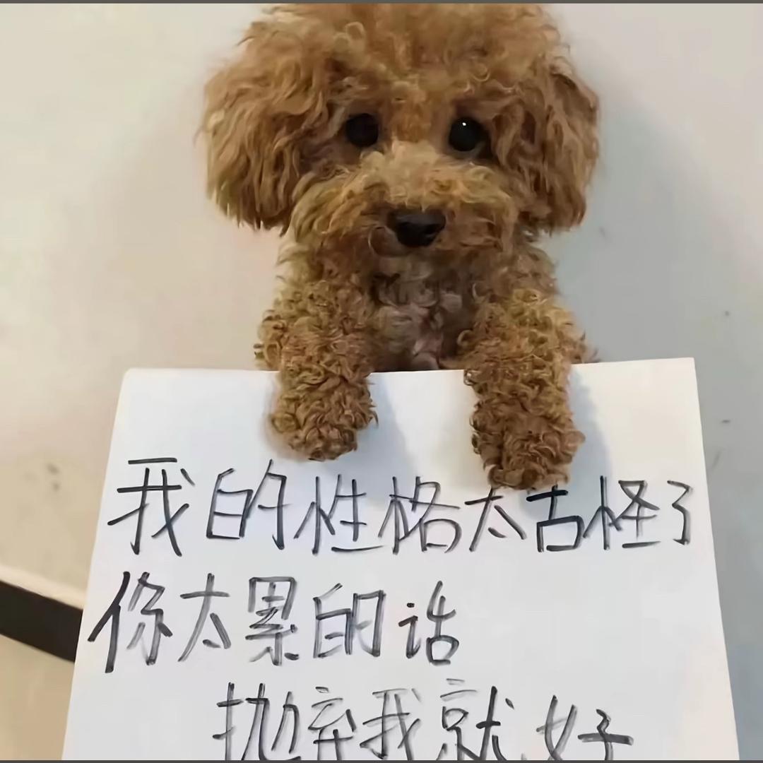 小玉^_^