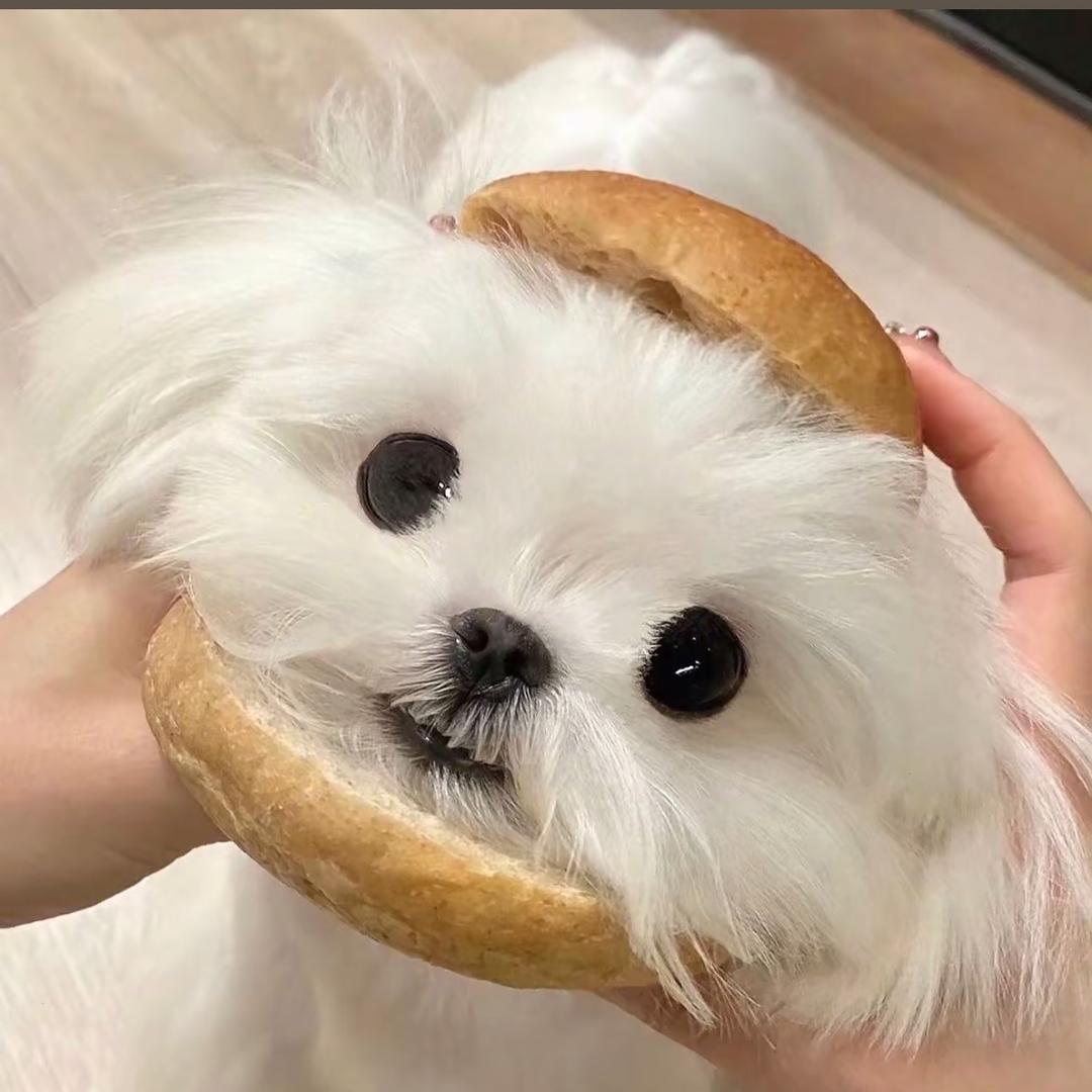 小超家（悦梦）