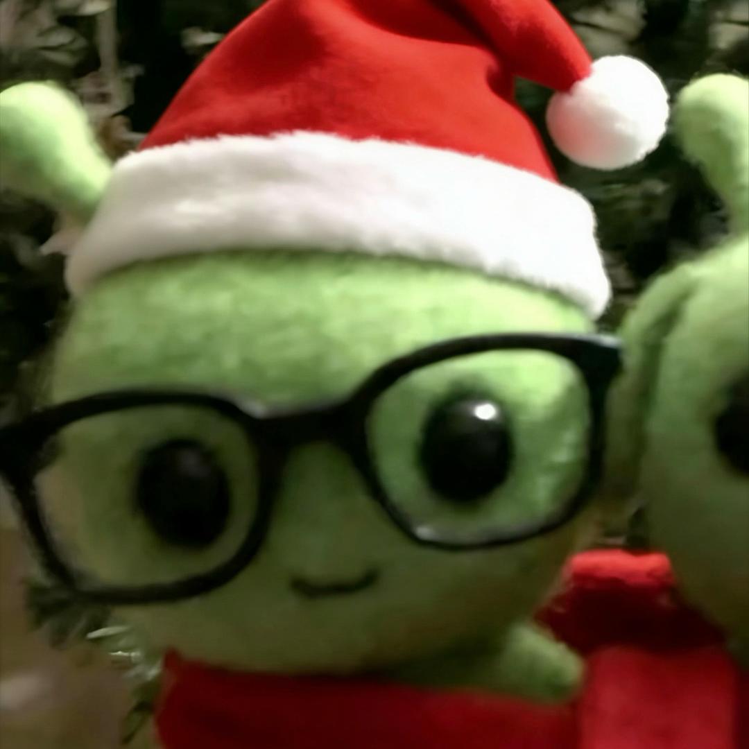 小狗热爱到夏夜写代码