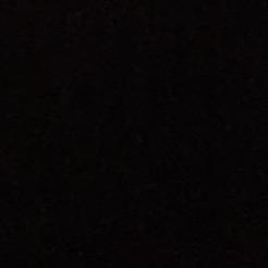 z27663819