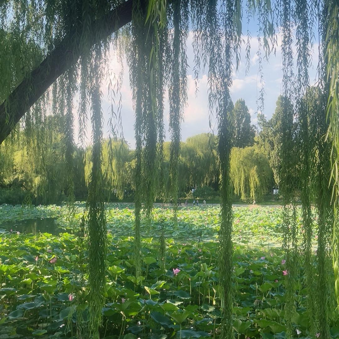 ～记忆时光～