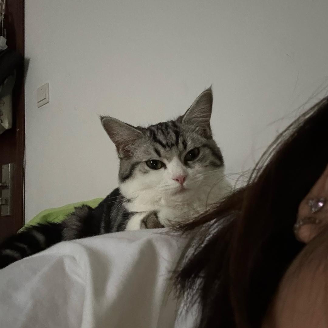 Ray🧃