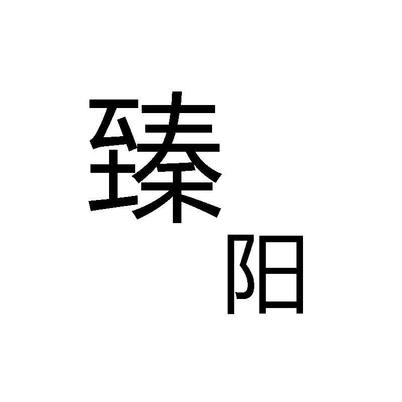 臻阳服装严选