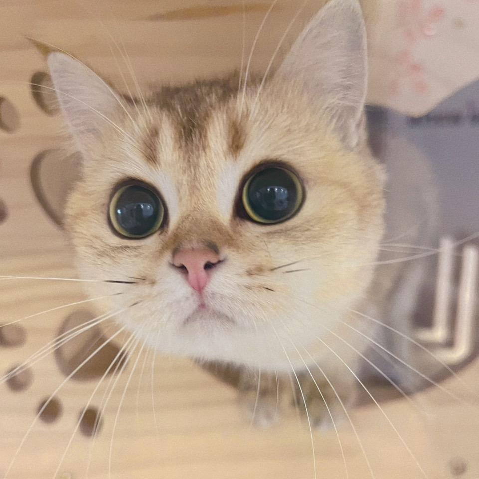 珊珊的草稿箱