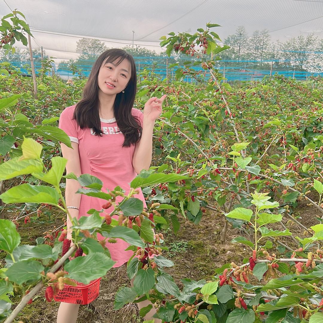 蜜食珍