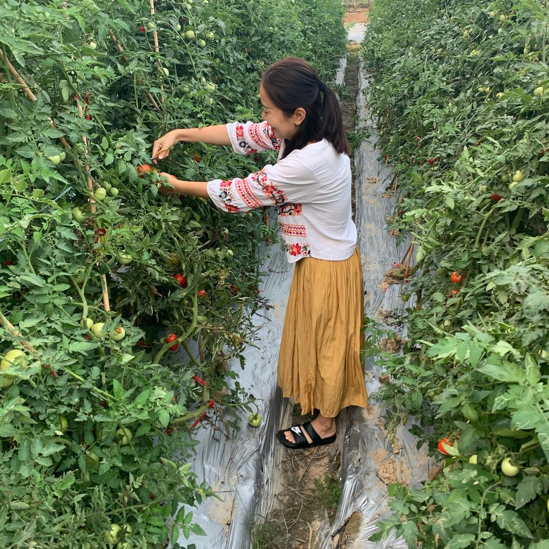 小糖很甜～（橱窗有好物）
