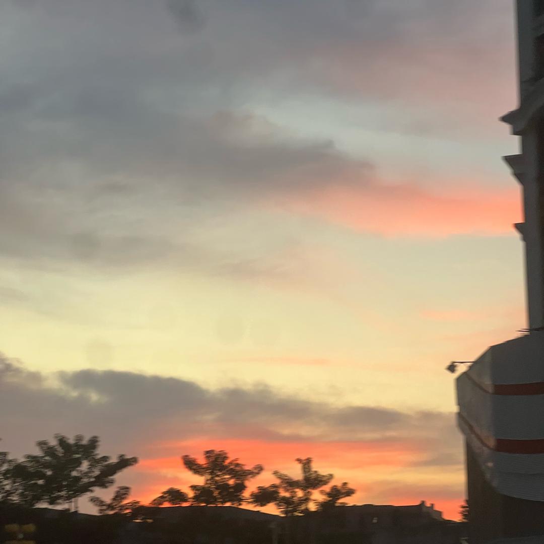 一张不够花🌸🌸