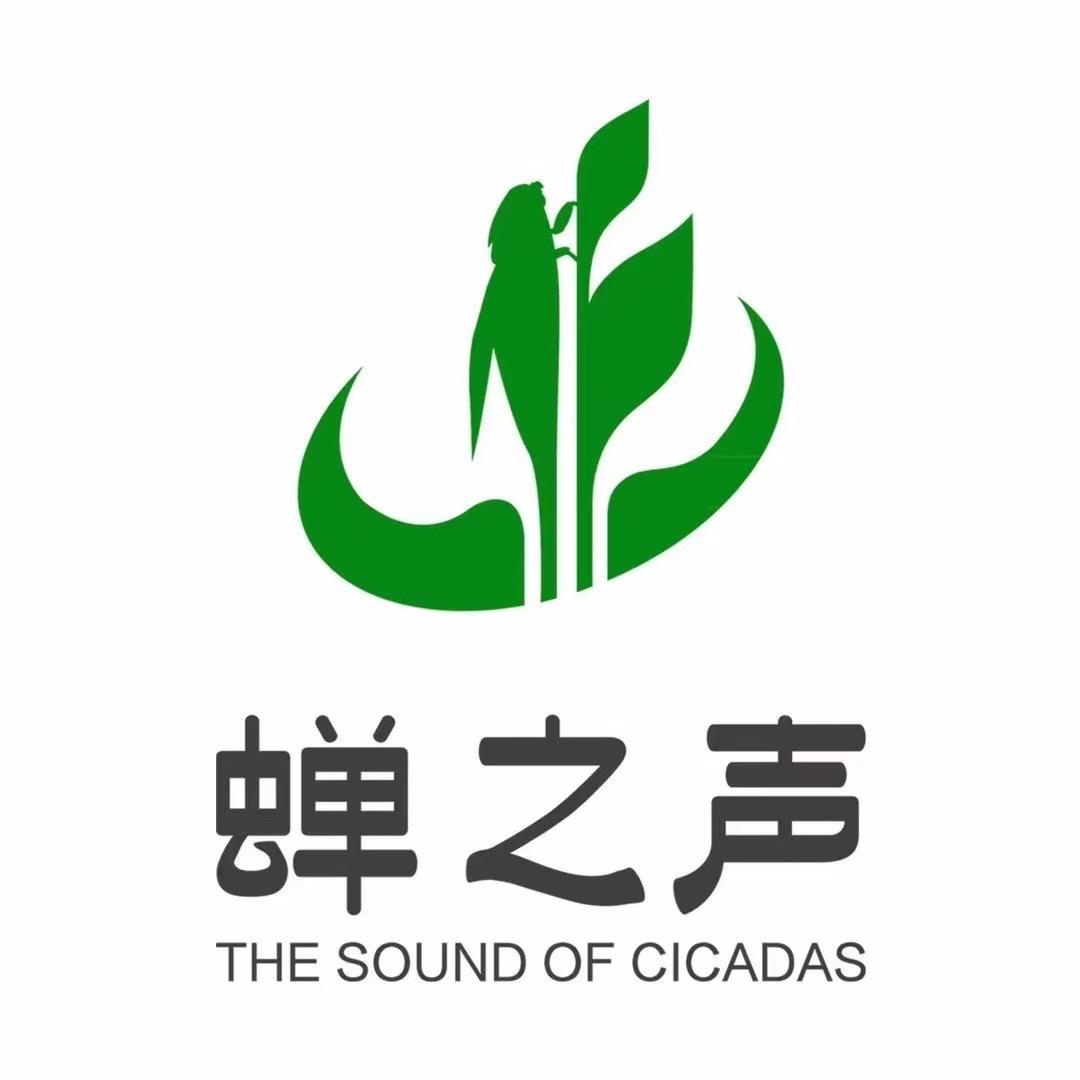 蝉之声