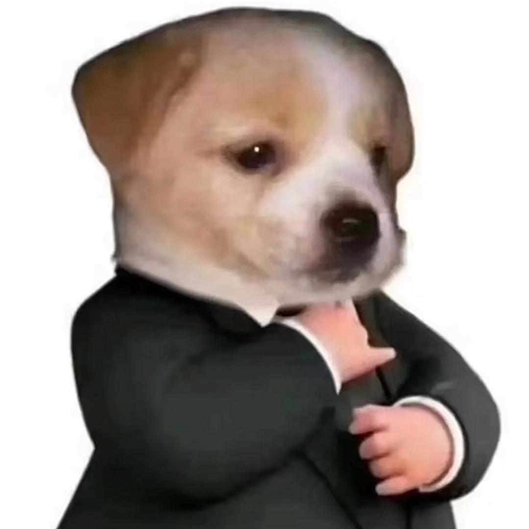 筱仵