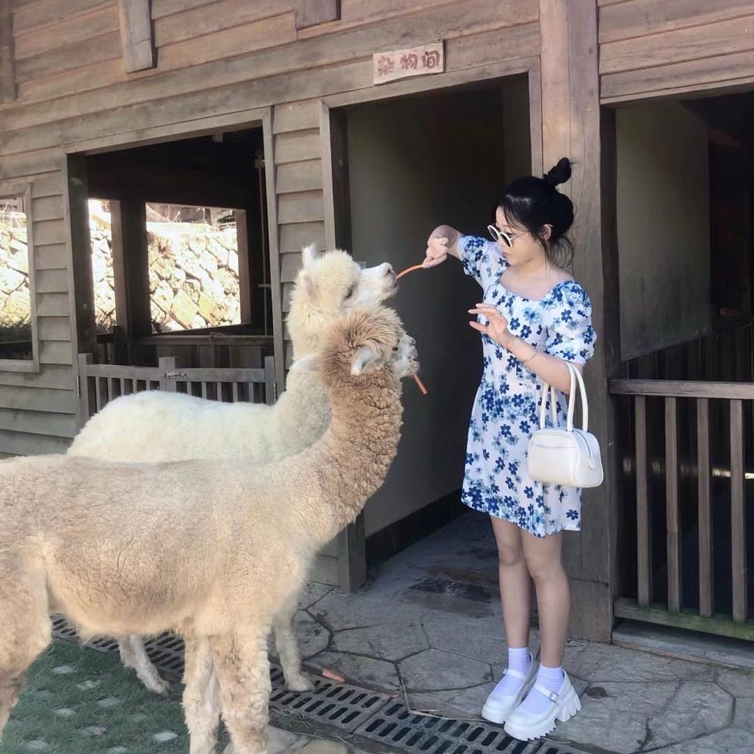 鹿七