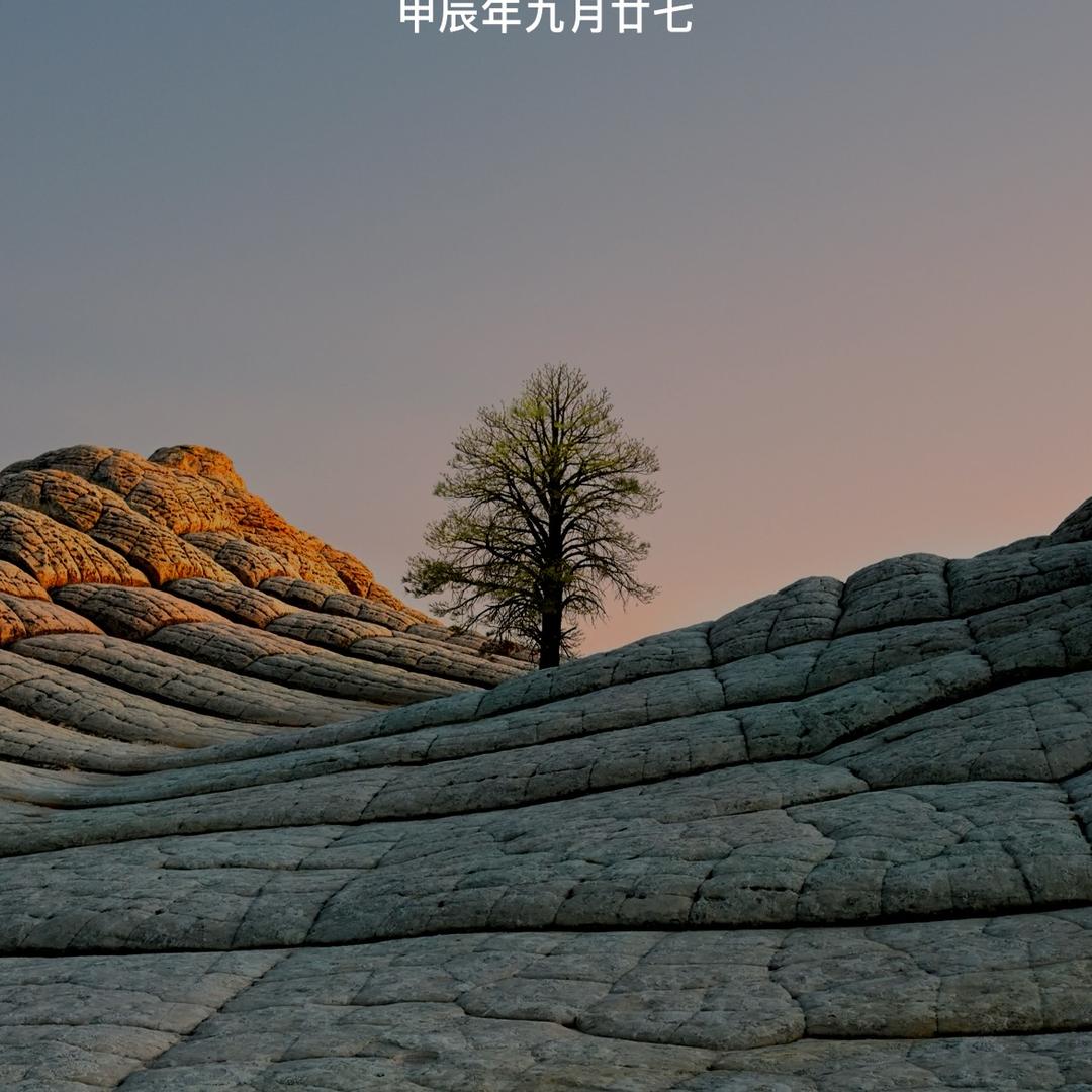 硕硕好物