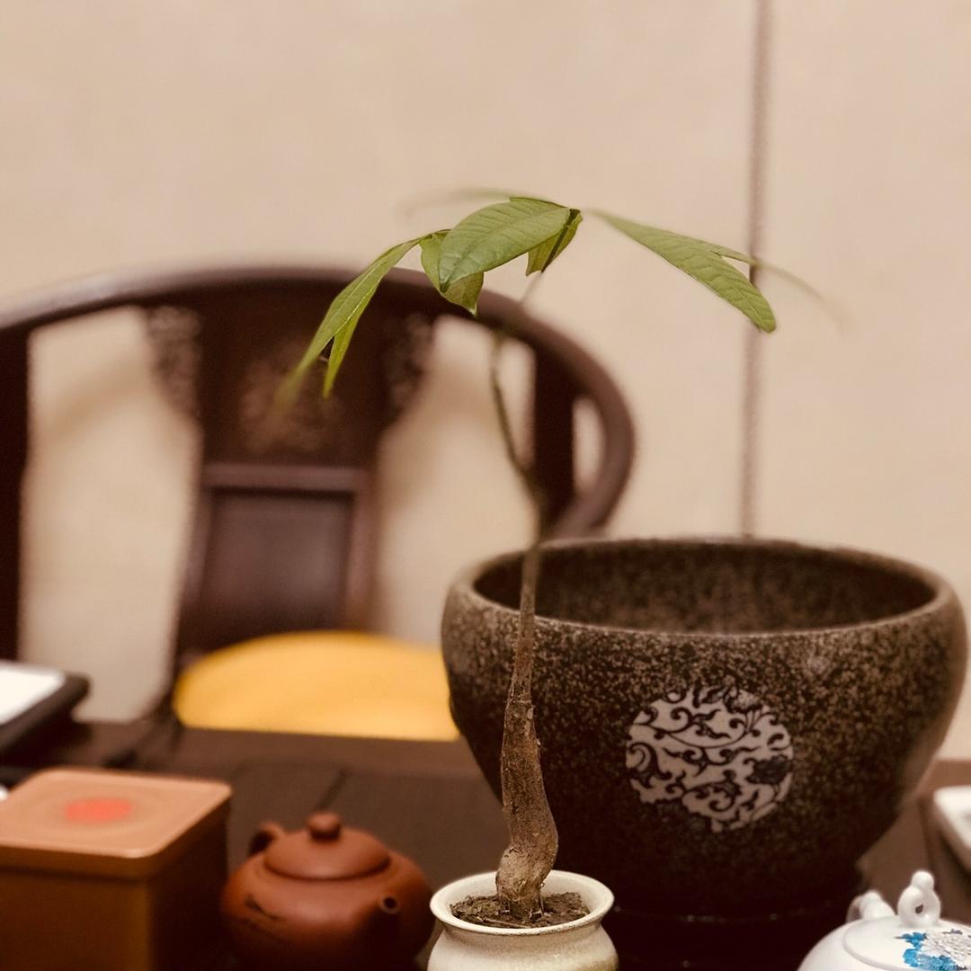 枕戈待旦