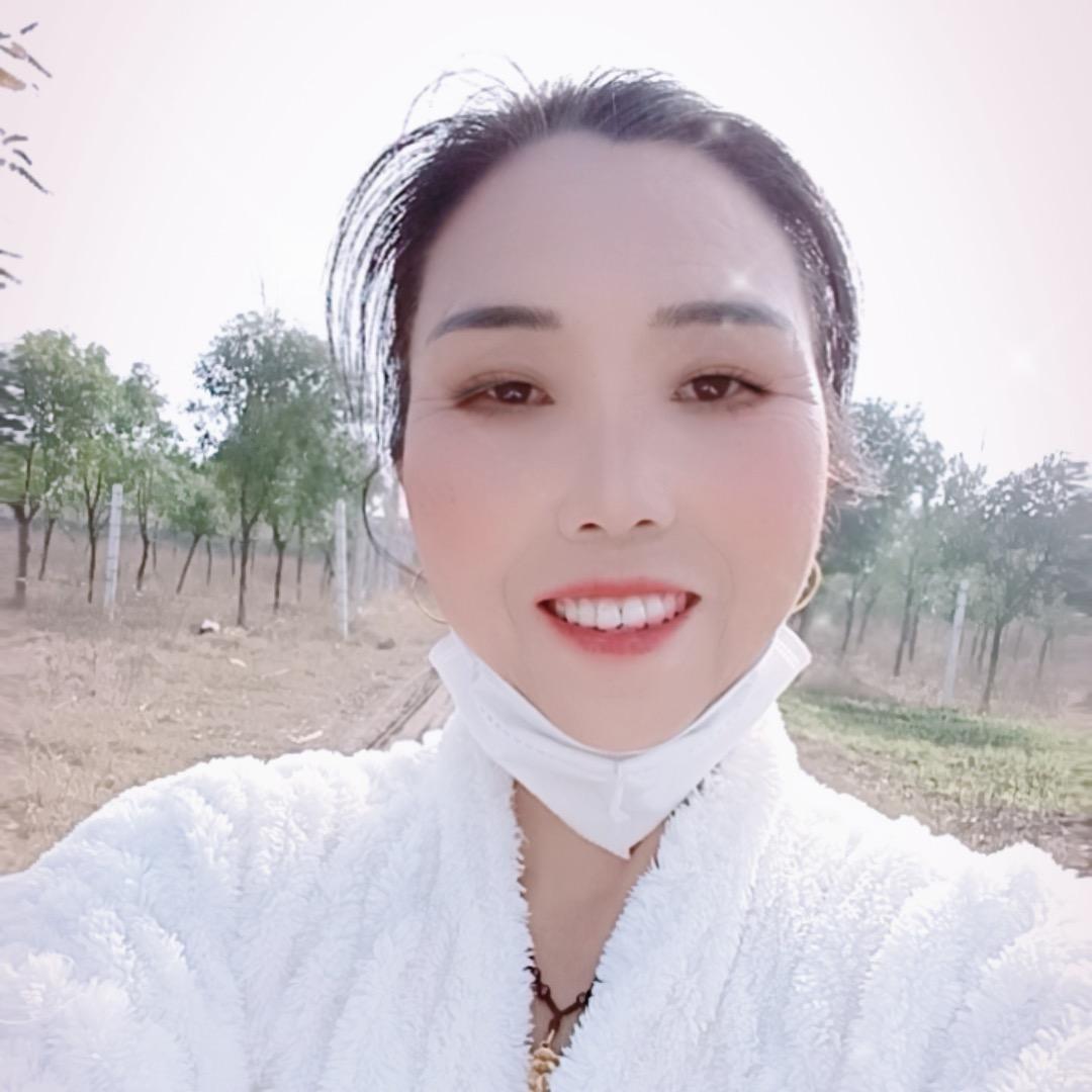 秋天的小燕子