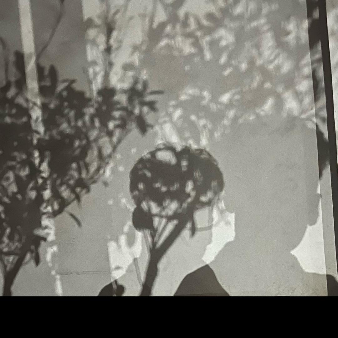 明仔