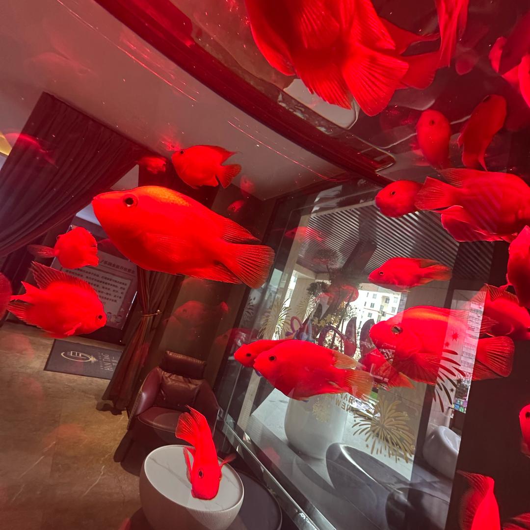 🚬ᐝ᭄余生只⿻搞钱🍻࿐