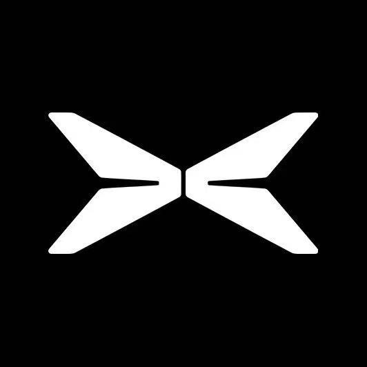 00后卖小鹏汽车