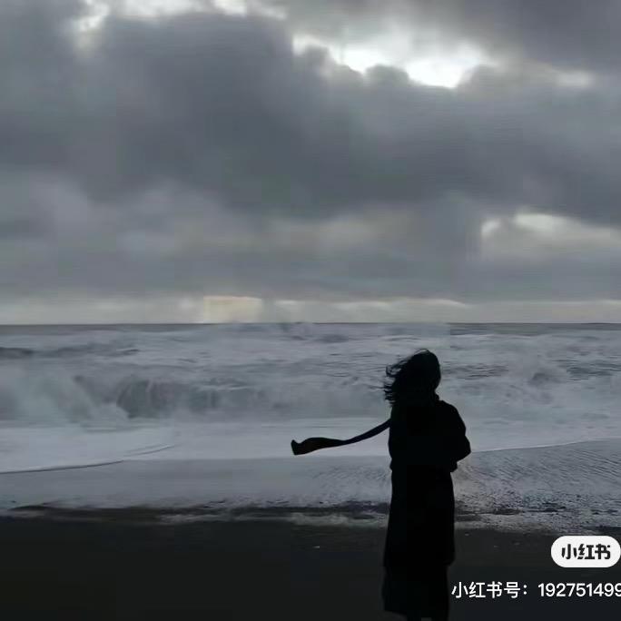 爱太阳的向日葵