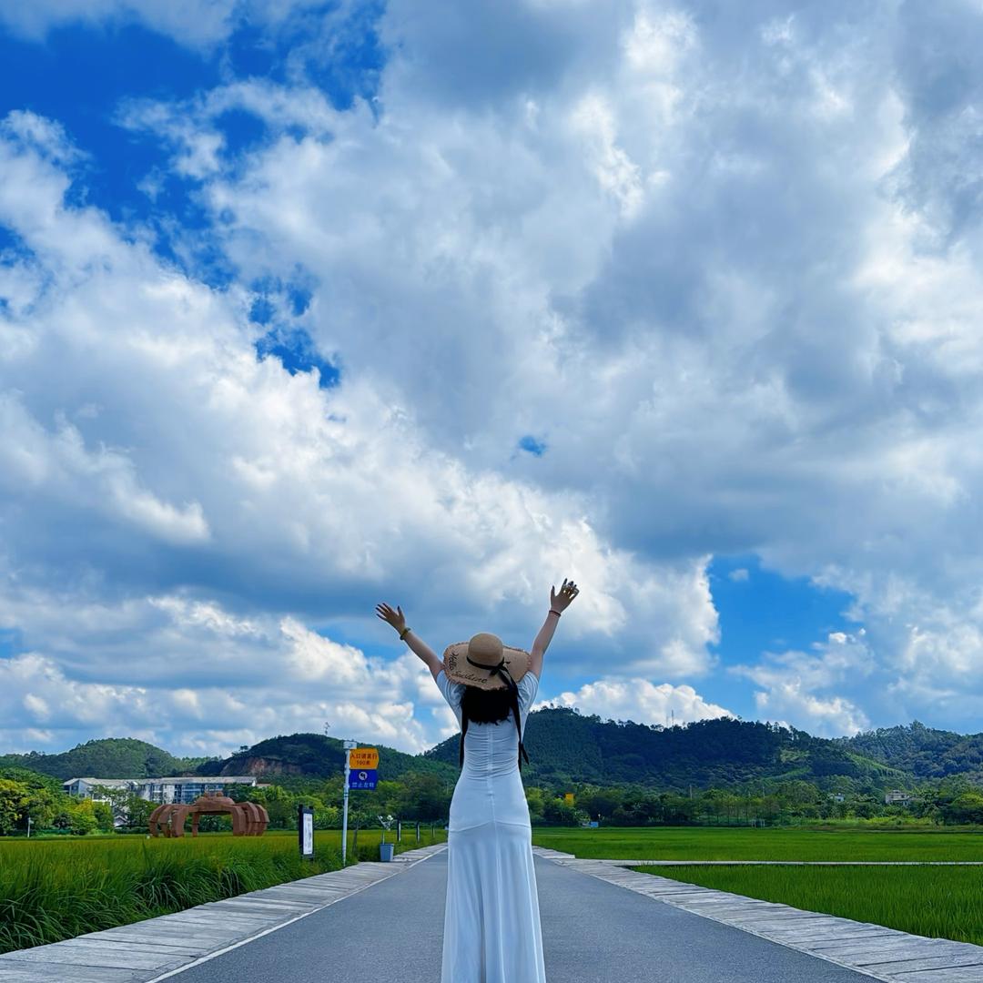 无敌黑旋风（和工作离婚版）