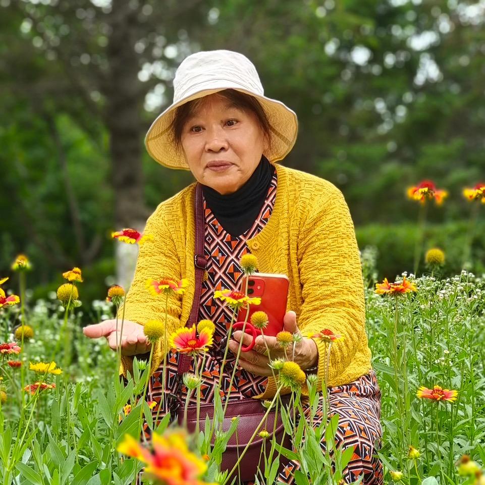 秋芝