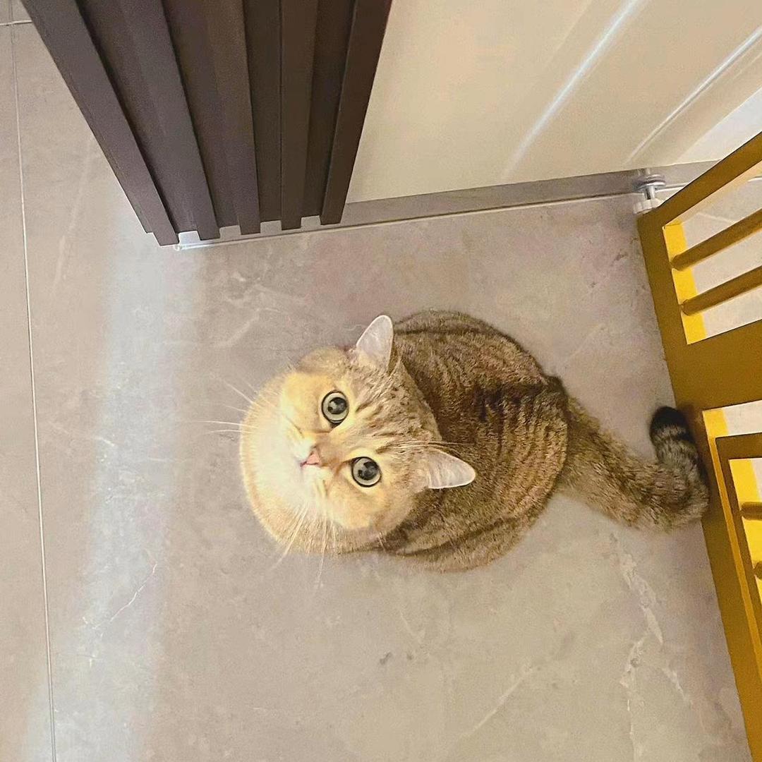 小耶满满