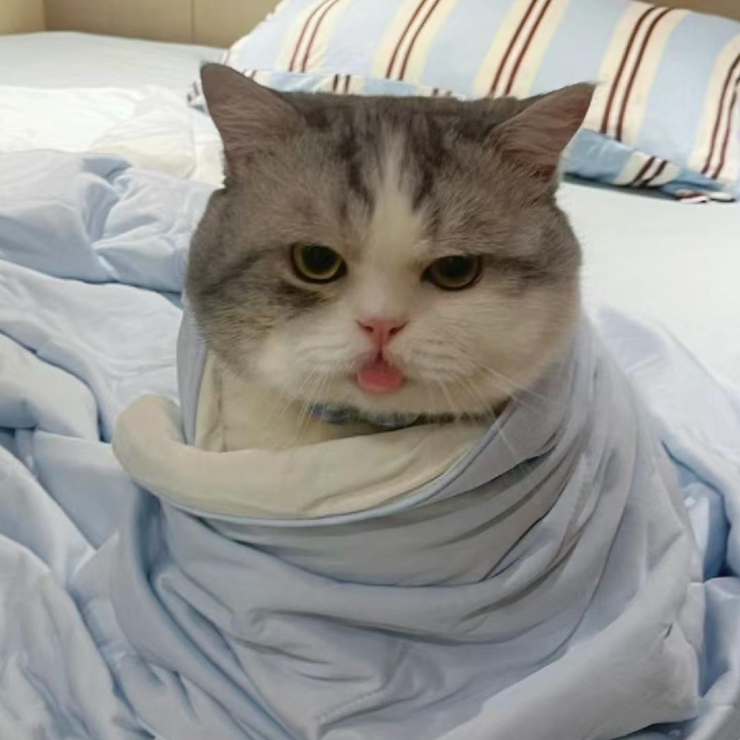 han_ke头像