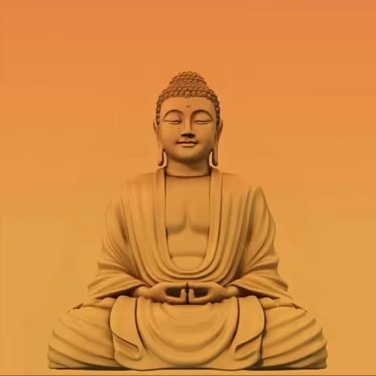 晚安先生