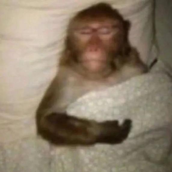 精神状态堪忧的悲伤大蛤蟆