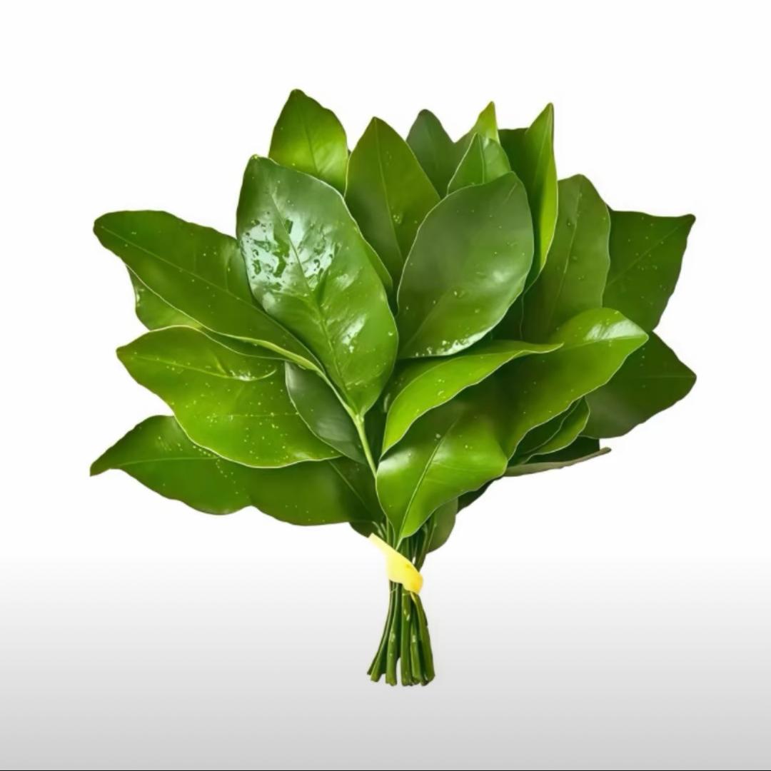 橙是什么陈