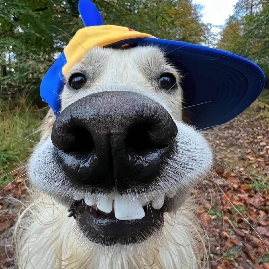 长沙DK机车俱乐部