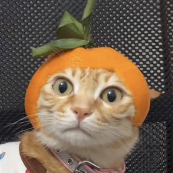 Rex