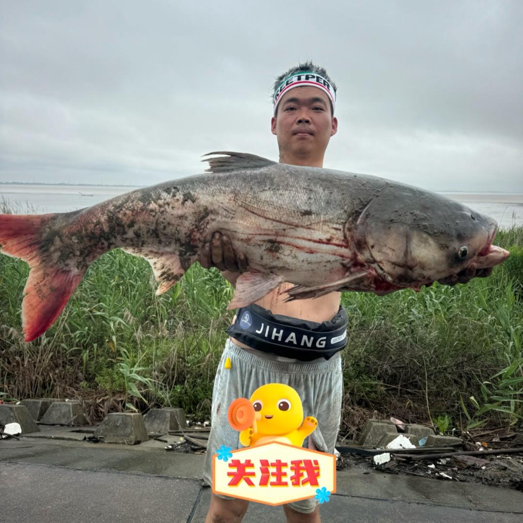 钱塘江张远志（路亚滑漂小志）