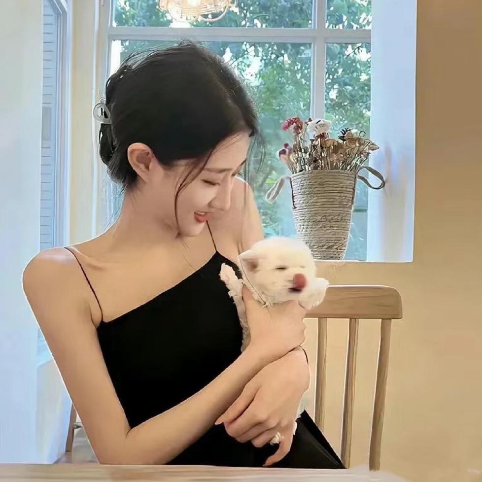 小可爱