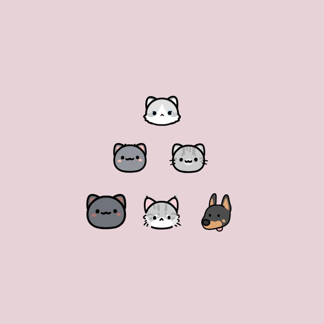 小程ccc（最爱小猫咪版）