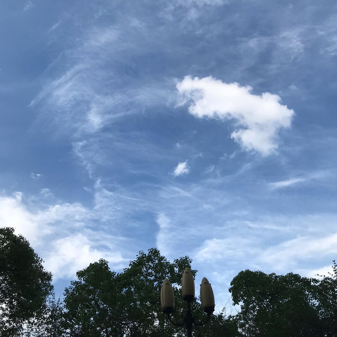 儒雅风云