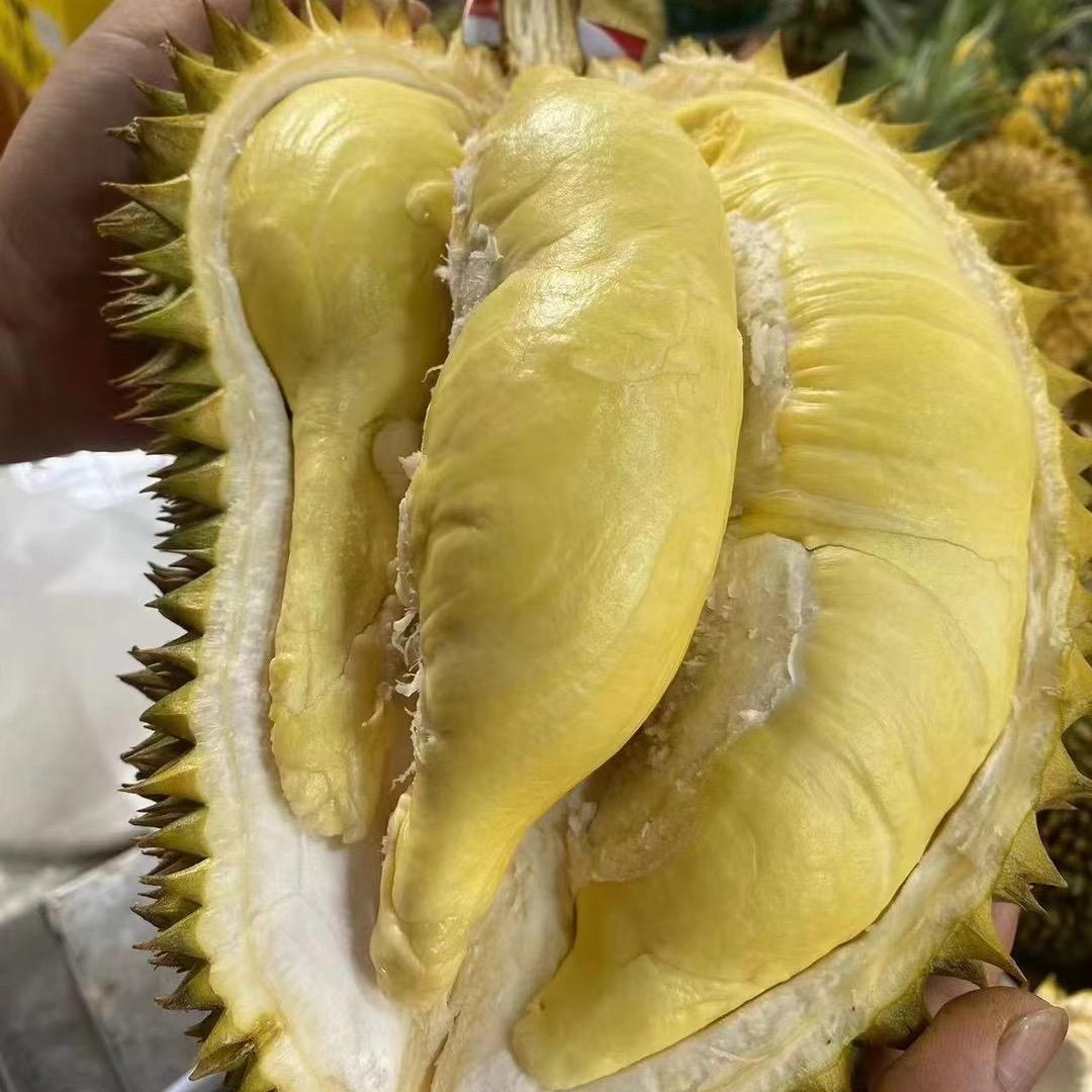 小雄果业批发部z