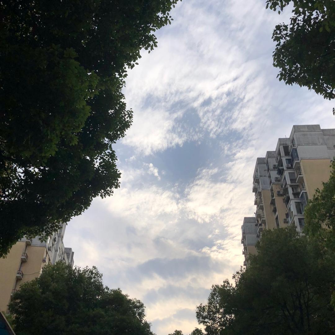 小小宝贝
