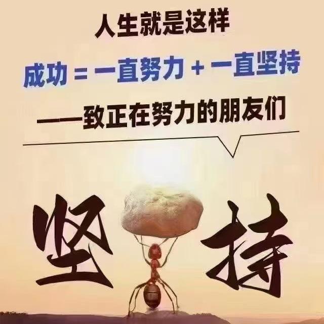 紫梦风铃