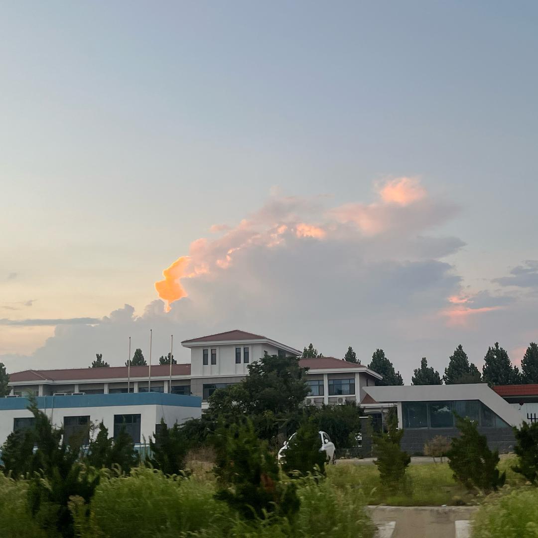 尔东