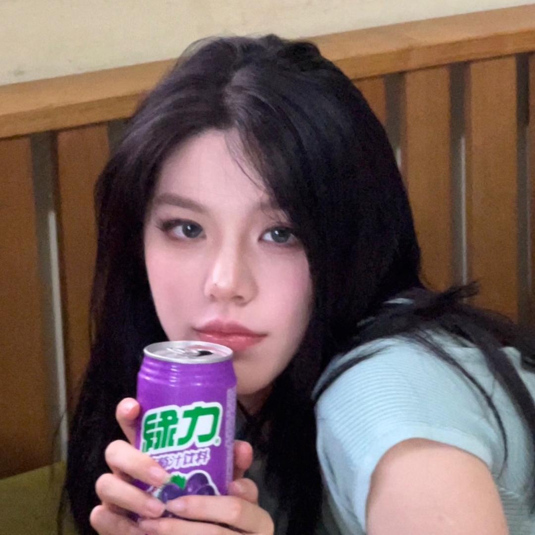 木白柏