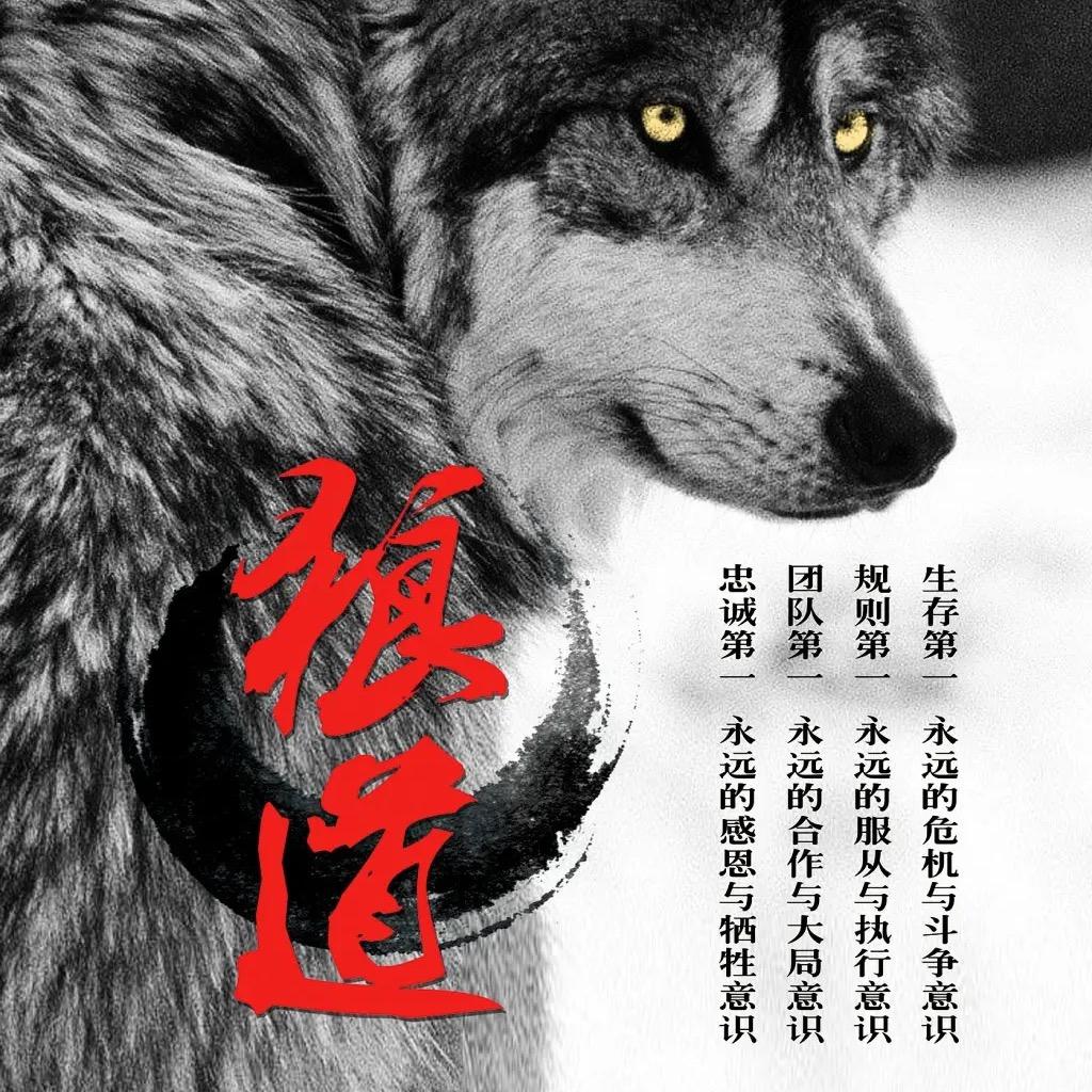 荣盛挖机汽车租赁服务