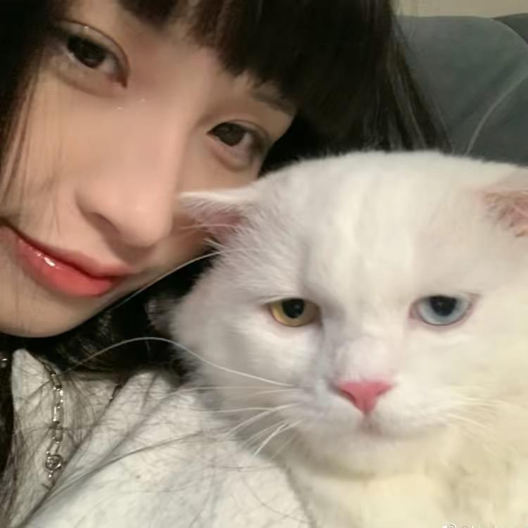 秀儿❤️