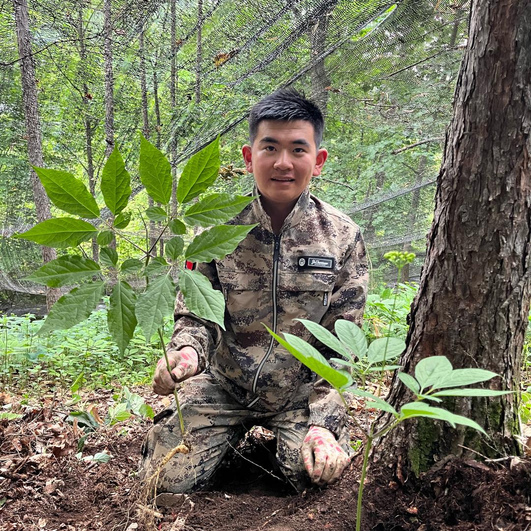 人参少爷（福参记）@东北好地方