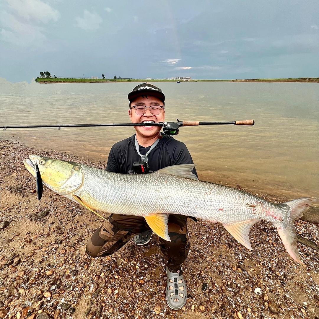 路亚黄 锐🎣