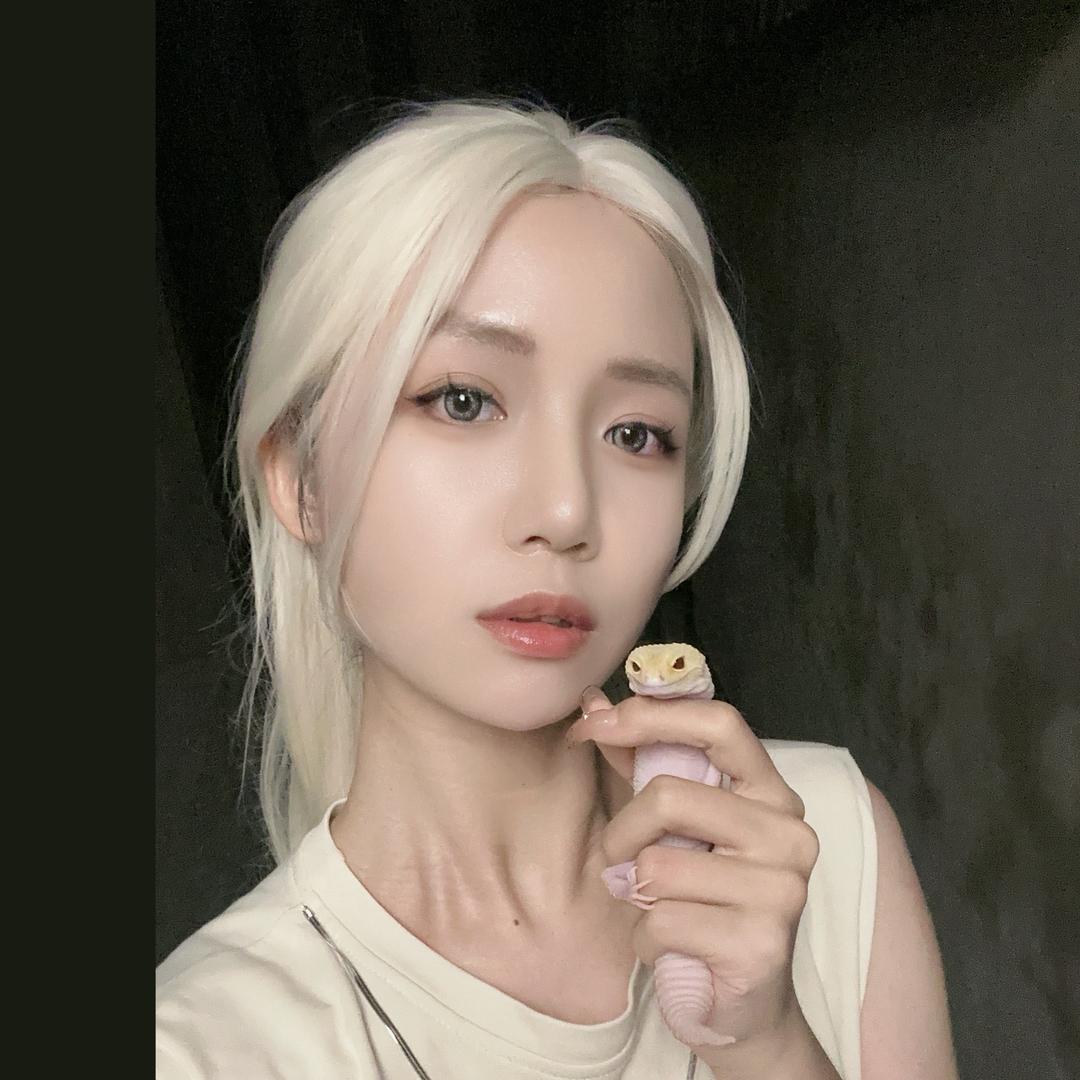 仙女嘉嘉的爬爬屋
