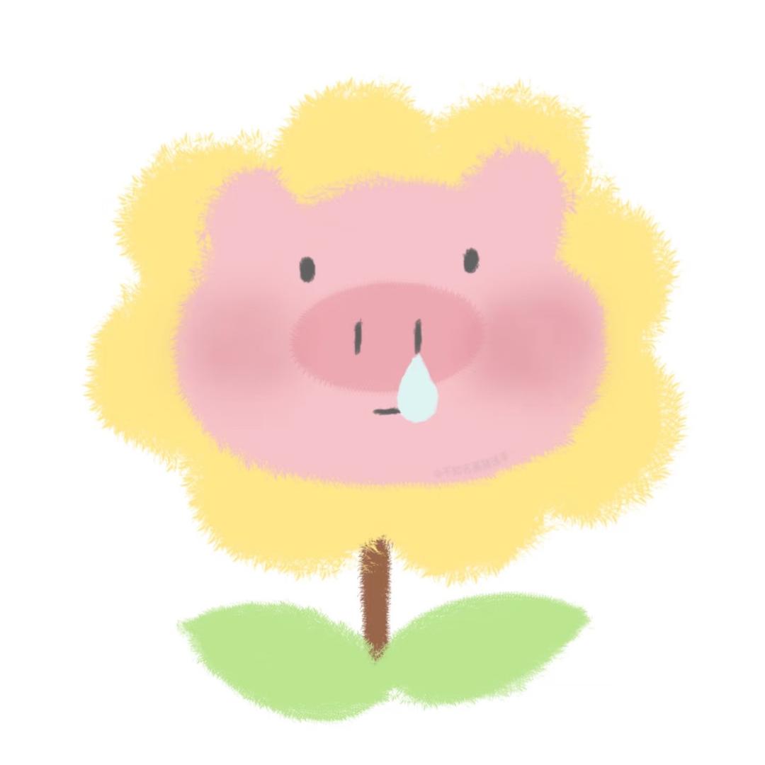 🐷🐷🐷🐷🐷🐷🐷